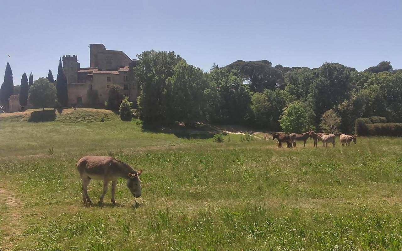 Une Chambre En Luberon Puyvert Kültér fotó